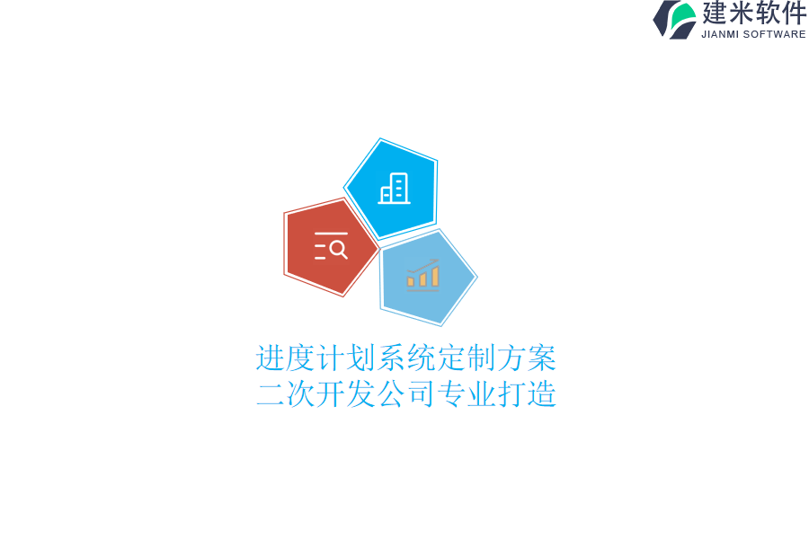 进度计划系统定制方案：二次开发公司专业打造