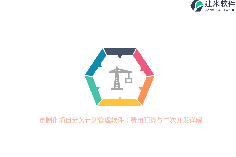 定制化项目劳务计划管理软件：费用预算与二次开发详解