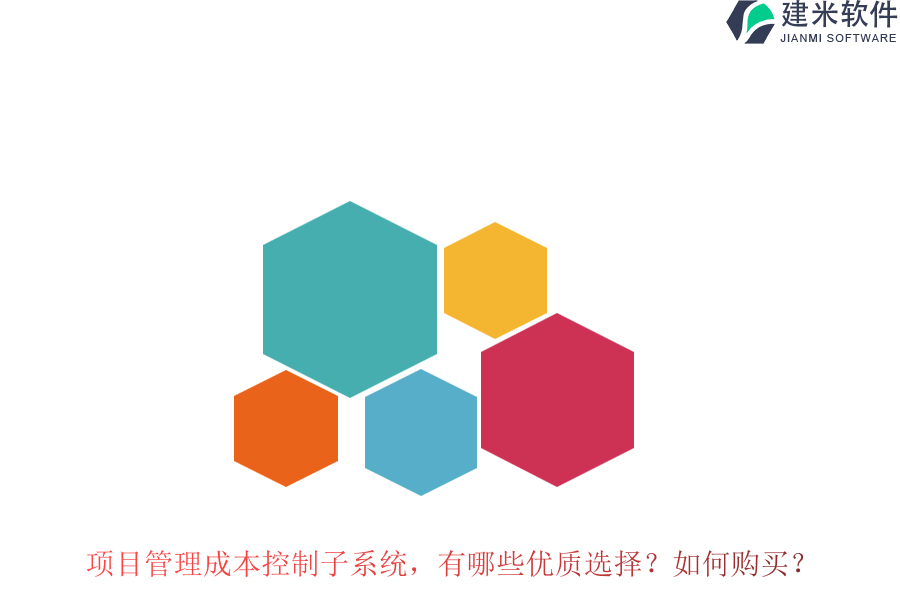 项目管理成本控制子系统,有哪些优质选择?如何购买?