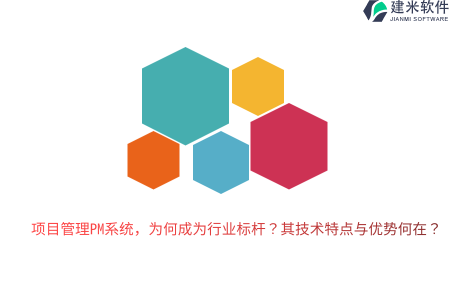 项目管理PM系统，为何成为行业标杆？其技术特点与优势何在？