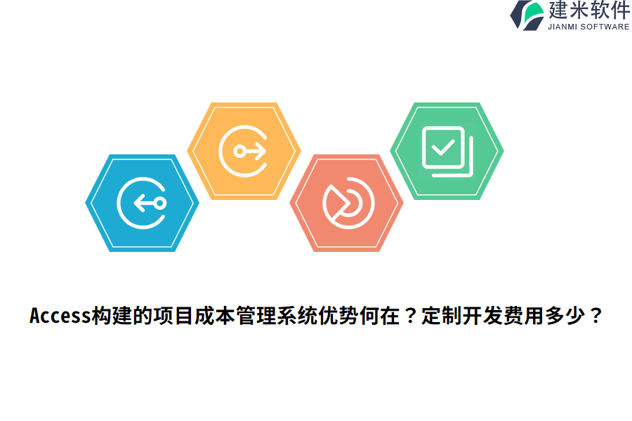 Access构建的项目成本管理系统优势何在？定制开发费用多少？