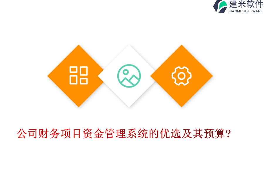 公司财务项目资金管理系统的优选及其预算?