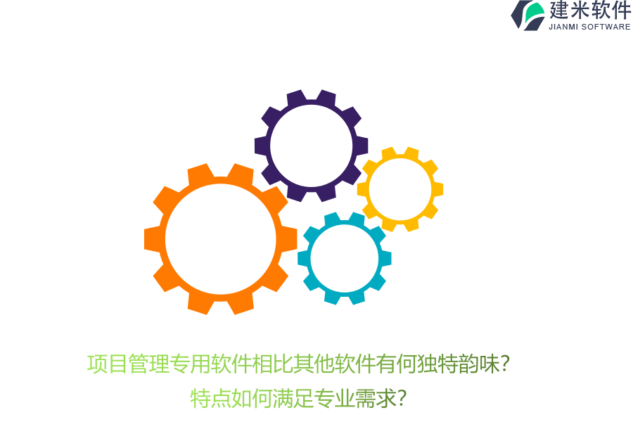 项目管理专用软件相比其他软件有何独特韵味？特点如何满足专业需求？