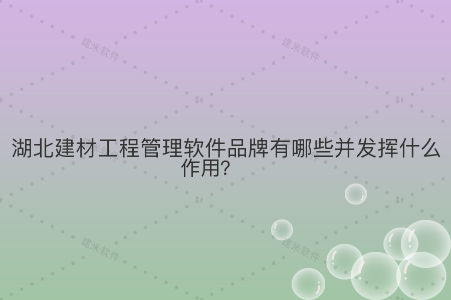 湖北建材工程管理软件品牌有哪些并发挥什么作用？