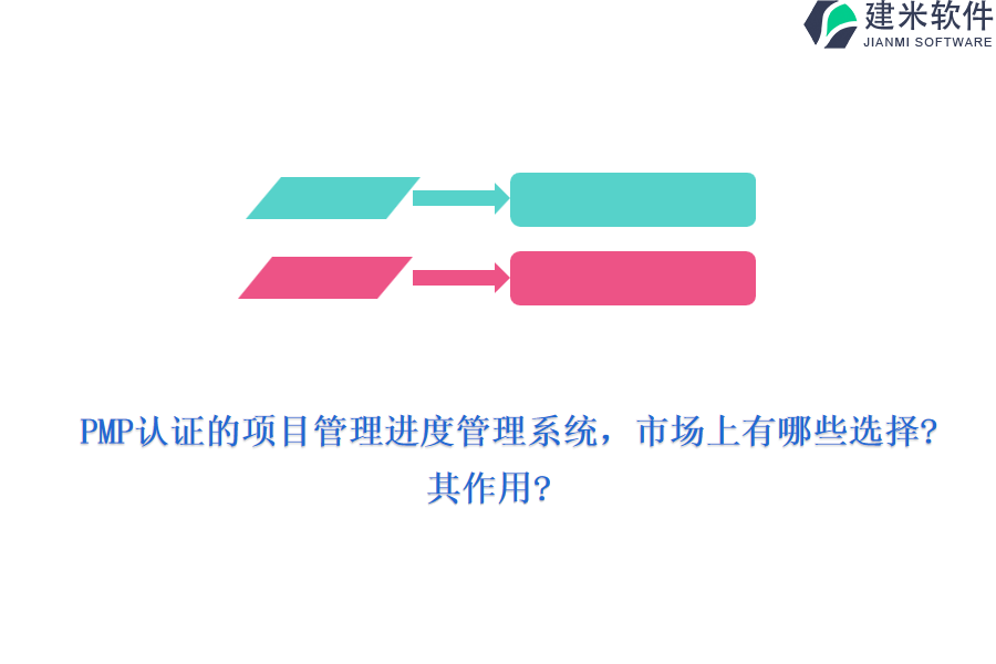 PMP认证的项目管理进度管理系统，市场上有哪些选择？其作用？