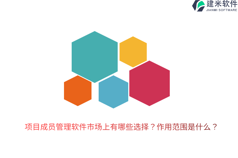 项目成员管理软件市场上有哪些选择？作用范围是什么？