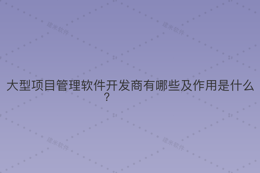 大型项目管理软件开发商有哪些及作用是什么？