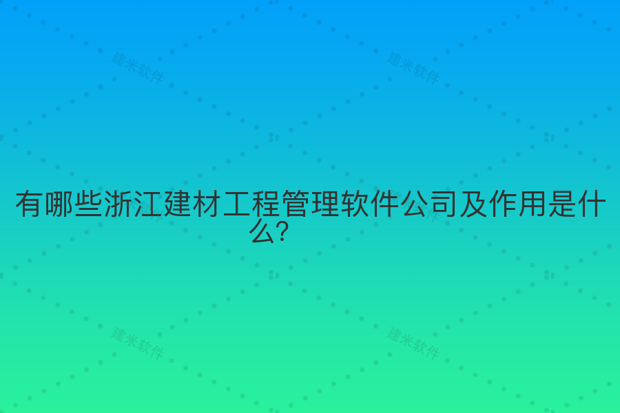 有哪些浙江建材工程管理软件公司及作用是什么？