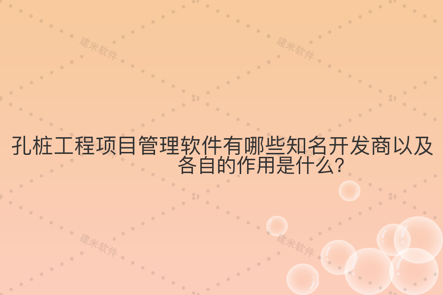 孔桩工程项目管理软件有哪些知名开发商以及各自的作用是什么？