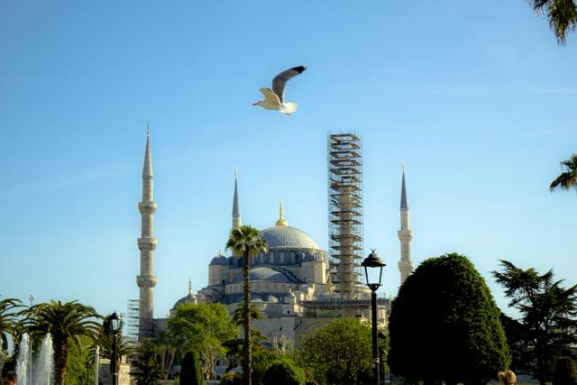 深度剖析：在众多选择中究竟哪个国际项目管理软件才是最佳之选？